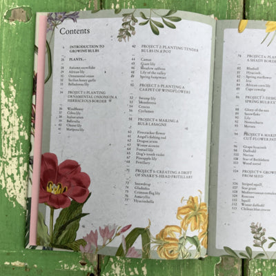 Puriri Lane | The Kew Gardeners Guide to Growing Bulbs