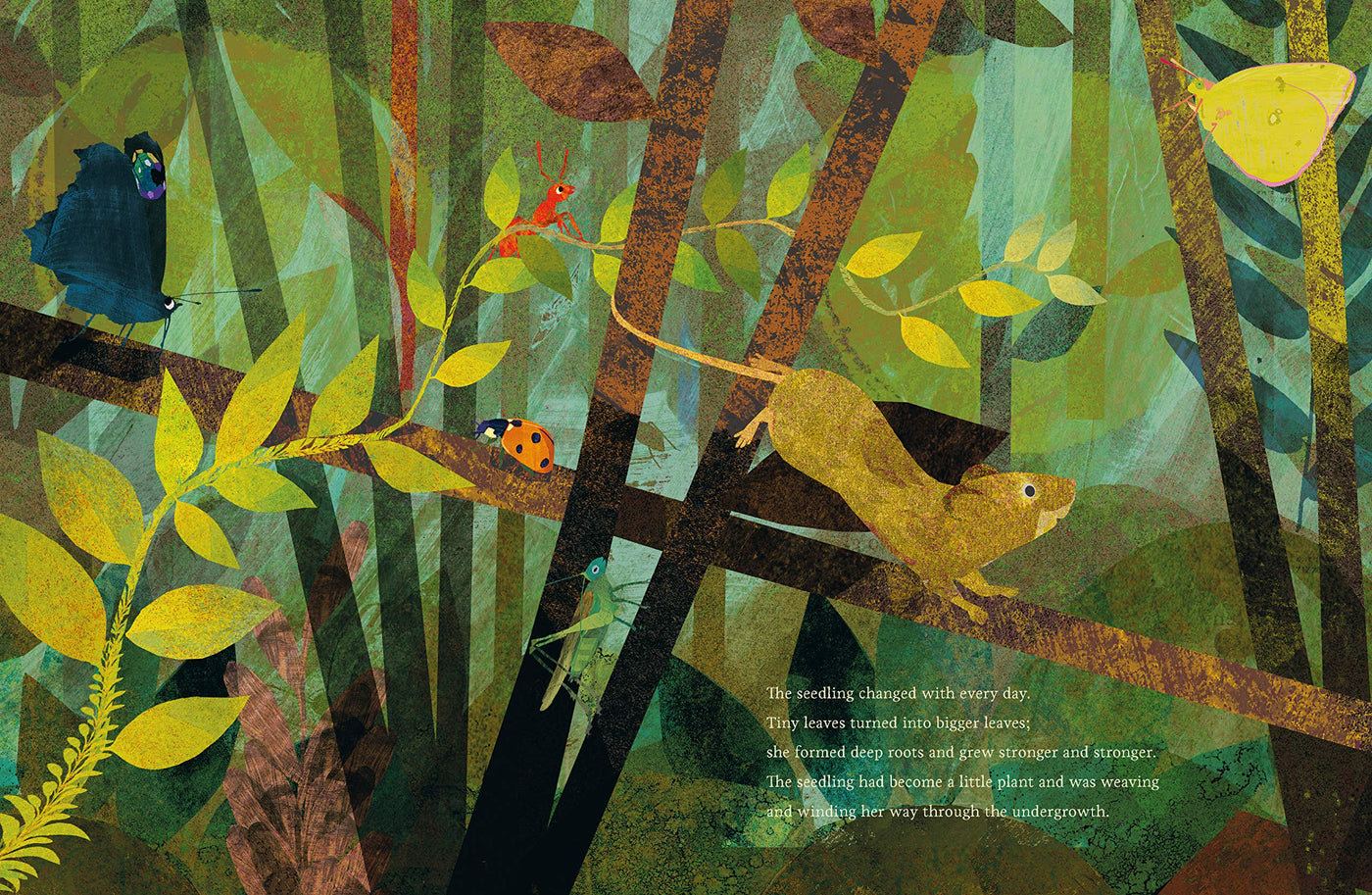 Puriri Lane | The Seedling That Didn't Want To Grow | Britta Teckentrup