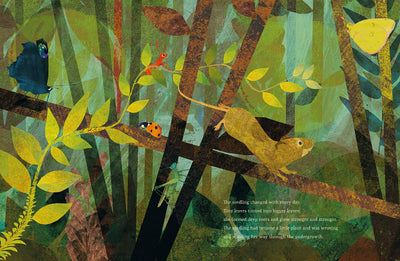 Puriri Lane | The Seedling That Didn't Want To Grow | Britta Teckentrup