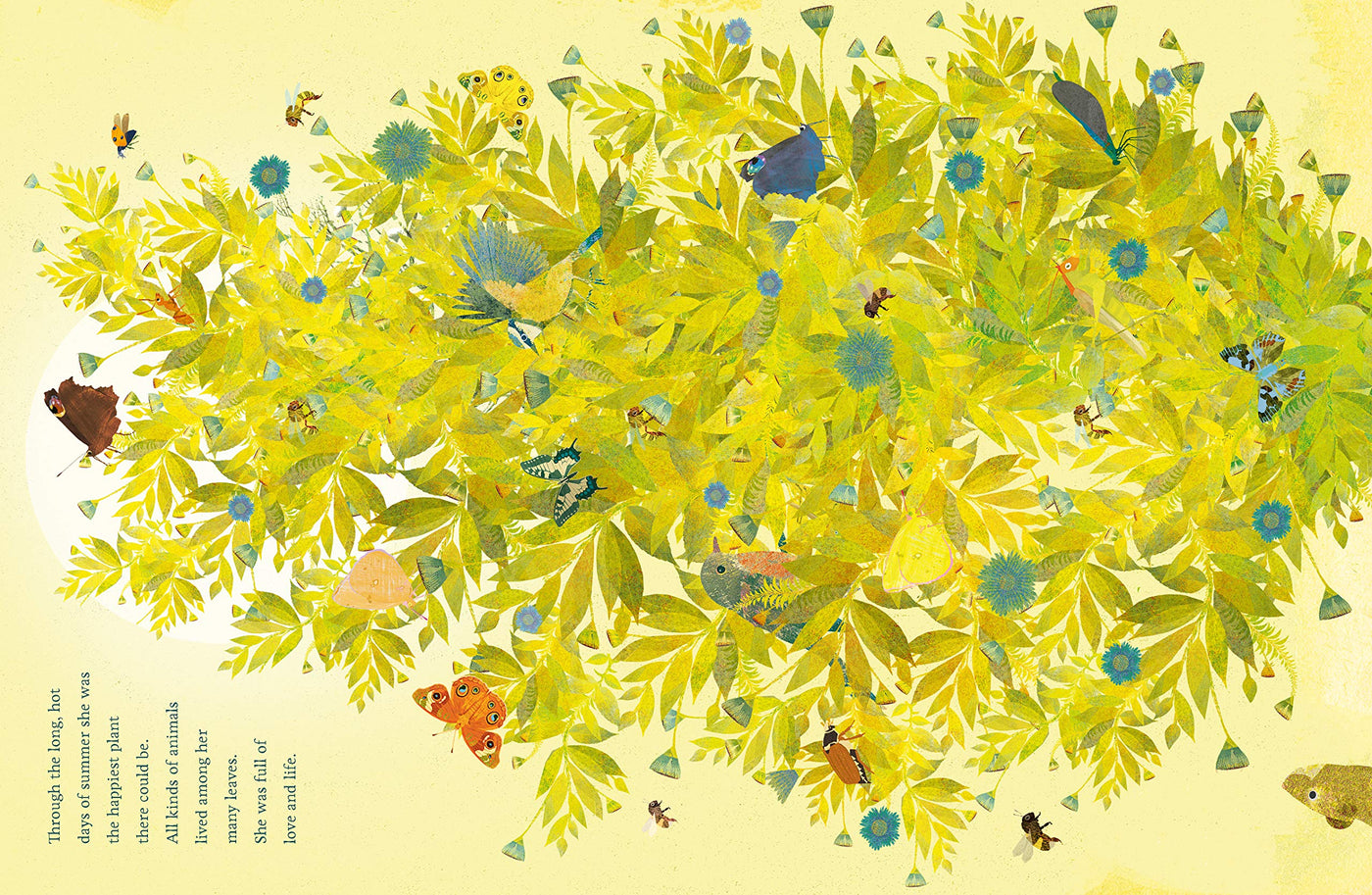 Puriri Lane | The Seedling That Didn't Want To Grow | Britta Teckentrup