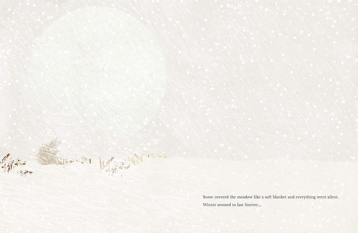 Puriri Lane | The Seedling That Didn't Want To Grow | Britta Teckentrup