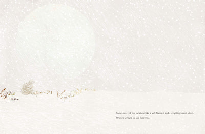 Puriri Lane | The Seedling That Didn't Want To Grow | Britta Teckentrup