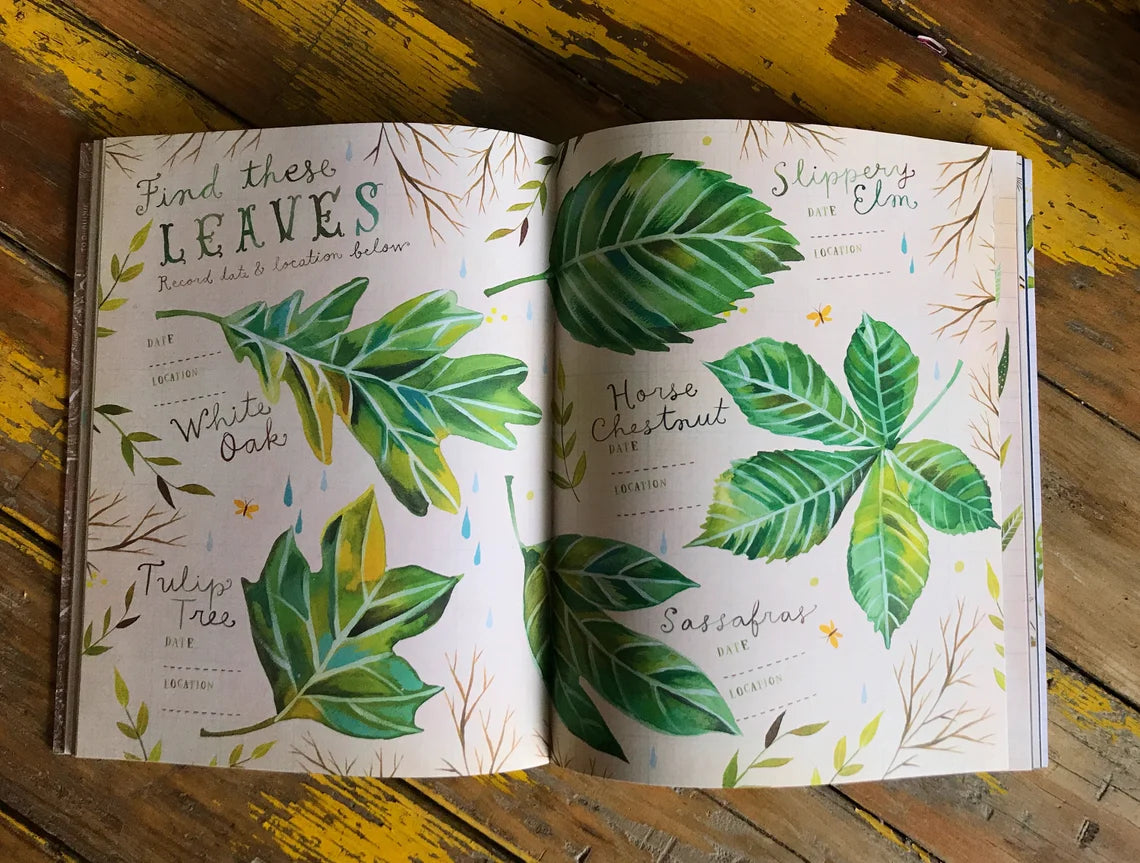 Puriri Lane | The Wildflower Workbook | Katie Daisy