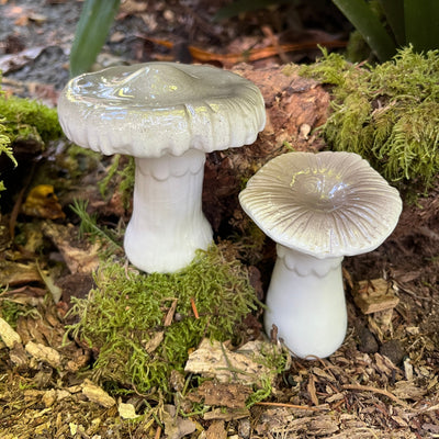 Puriri Lane | Toadstools | Set of 2
