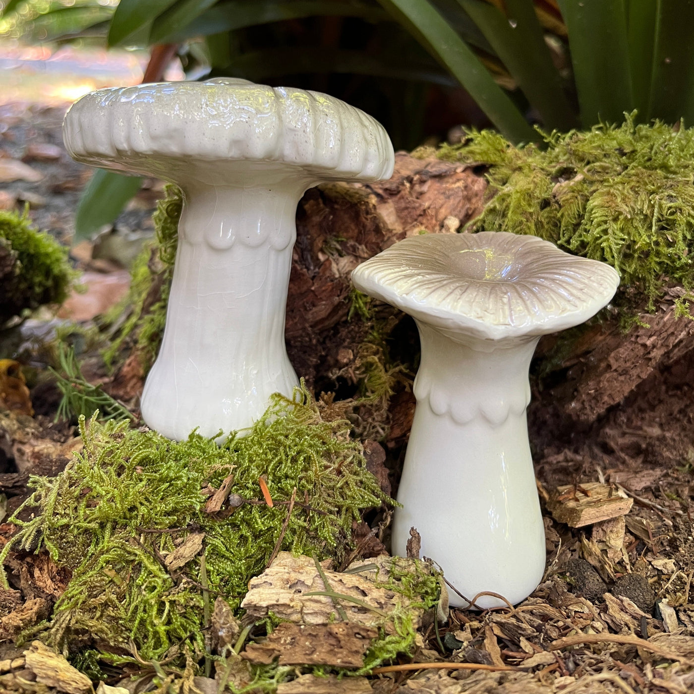 Puriri Lane | Toadstools | Set of 2