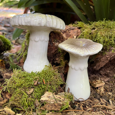 Puriri Lane | Toadstools | Set of 2