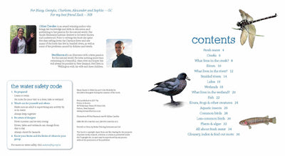 Puriri Lane | Up The River | Ned Barraud