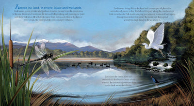 Puriri Lane | Up The River | Ned Barraud