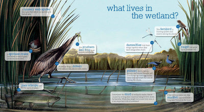 Puriri Lane | Up The River | Ned Barraud