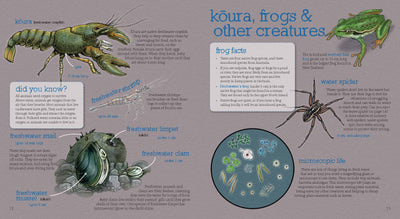 Puriri Lane | Up The River | Ned Barraud