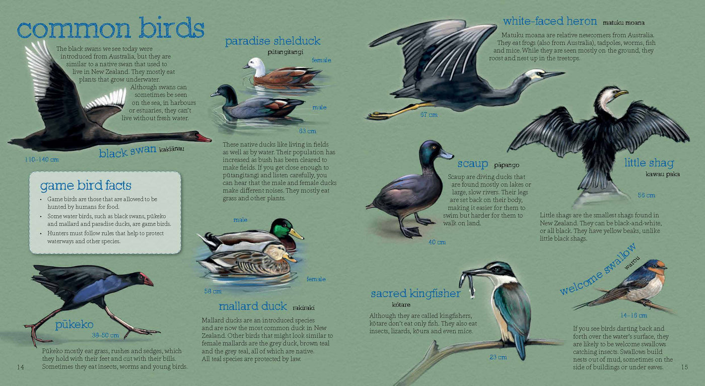 Puriri Lane | Up The River | Ned Barraud