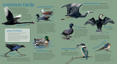 Puriri Lane | Up The River | Ned Barraud