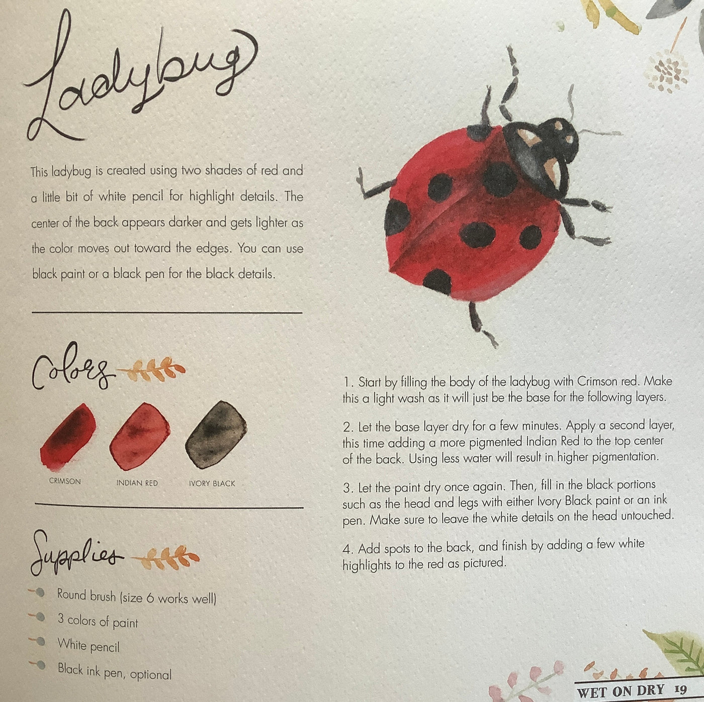 Puriri Lane | Watercolour With Me | In The Forest | Dana Fox