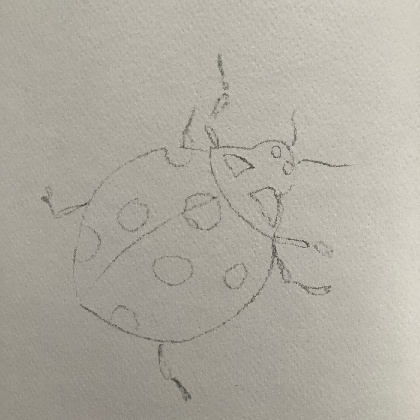 Puriri Lane | Watercolour With Me | In The Forest | Dana Fox