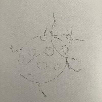 Puriri Lane | Watercolour With Me | In The Forest | Dana Fox