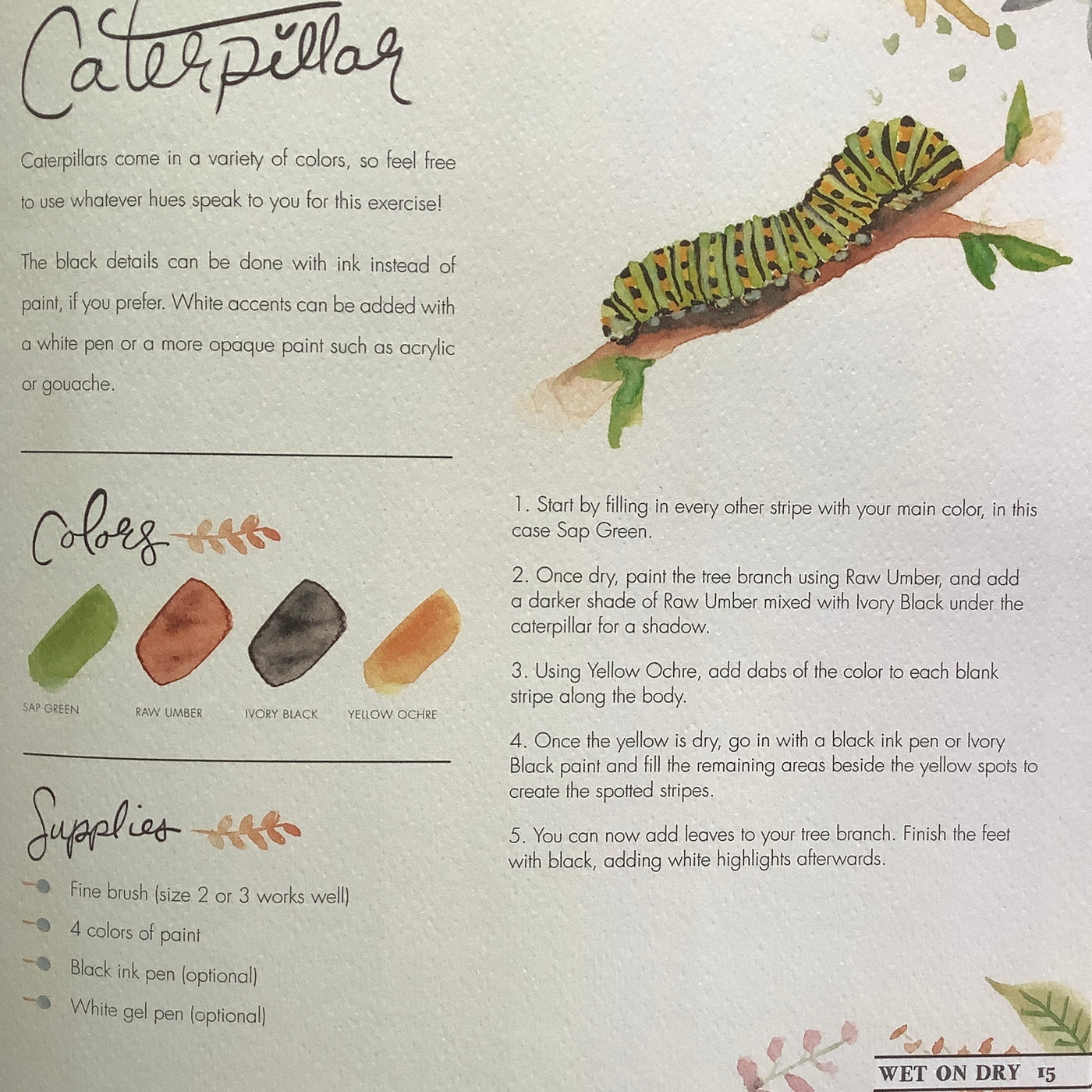 Puriri Lane | Watercolour With Me | In The Forest | Dana Fox