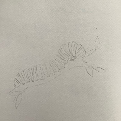 Puriri Lane | Watercolour With Me | In The Forest | Dana Fox