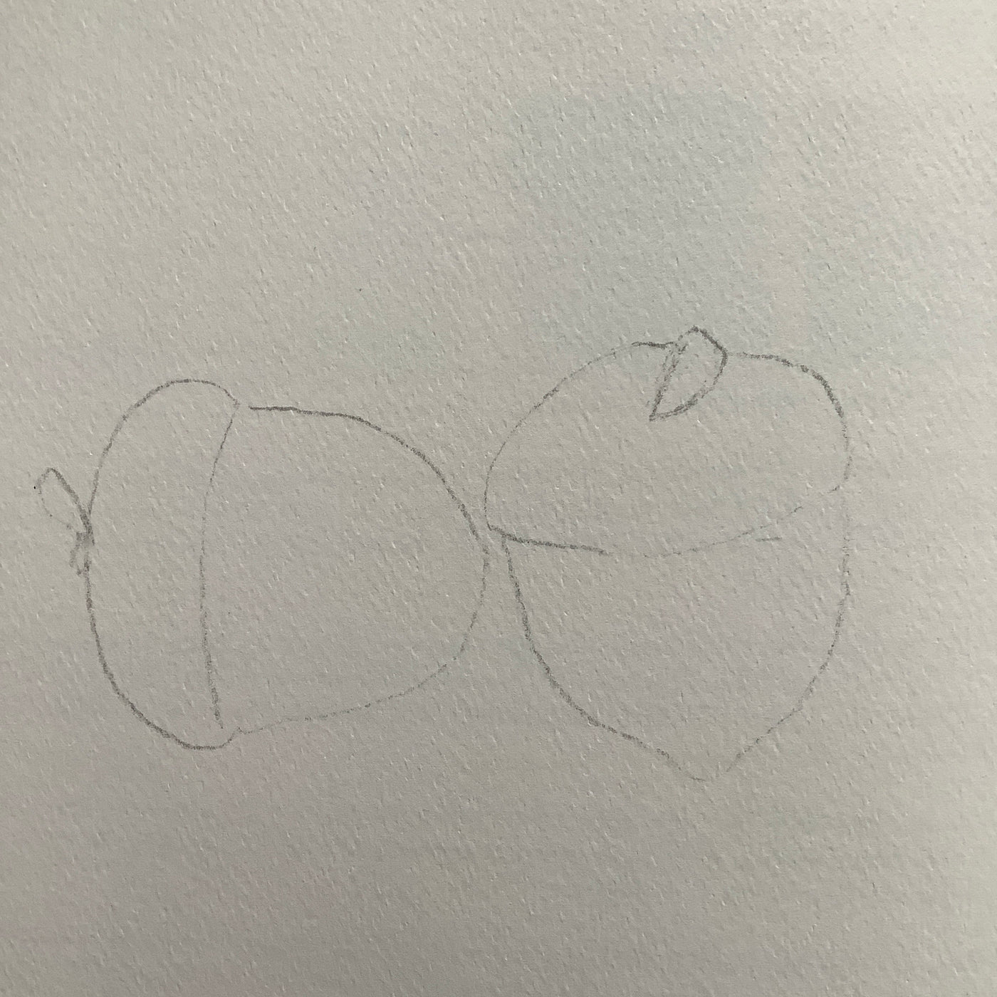 Puriri Lane | Watercolour With Me | In The Forest | Dana Fox