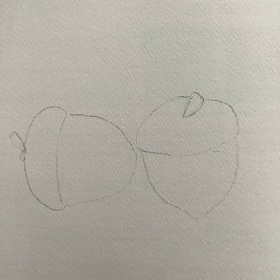 Puriri Lane | Watercolour With Me | In The Forest | Dana Fox