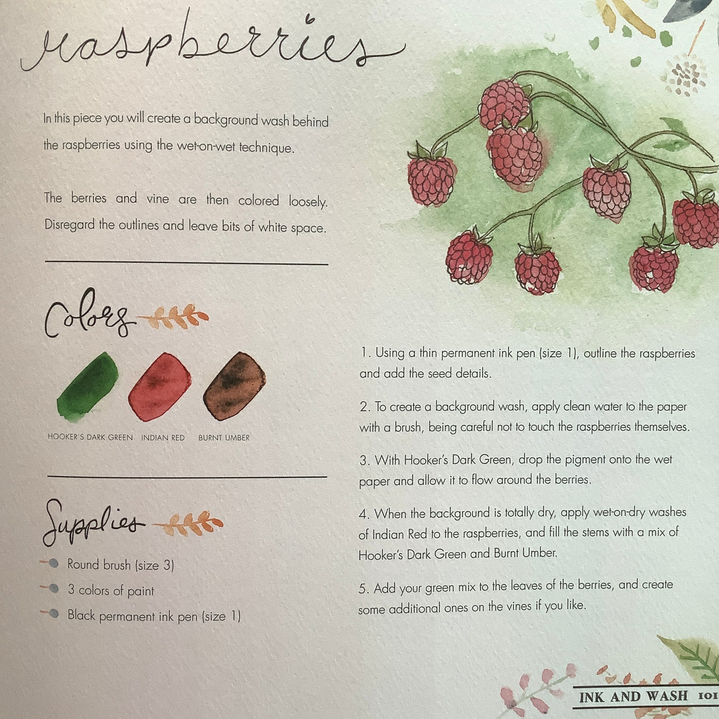 Puriri Lane | Watercolour With Me | In The Forest | Dana Fox