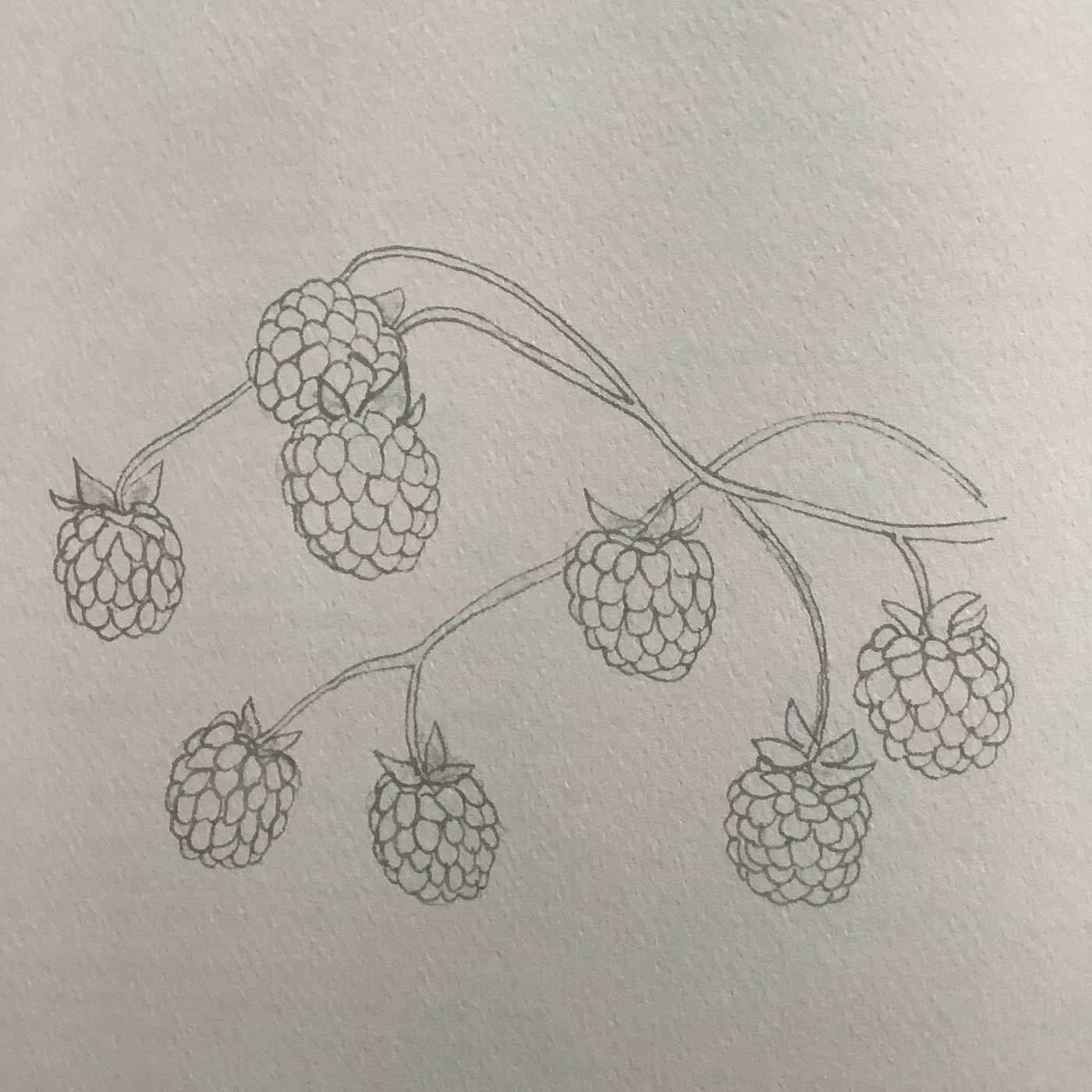 Puriri Lane | Watercolour With Me | In The Forest | Dana Fox