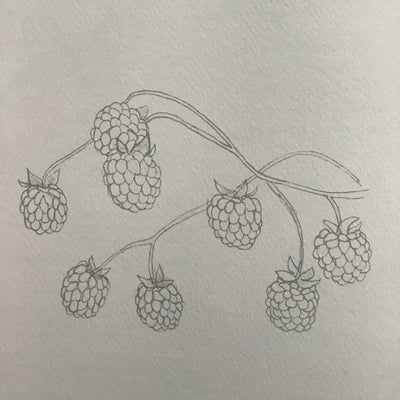 Puriri Lane | Watercolour With Me | In The Forest | Dana Fox