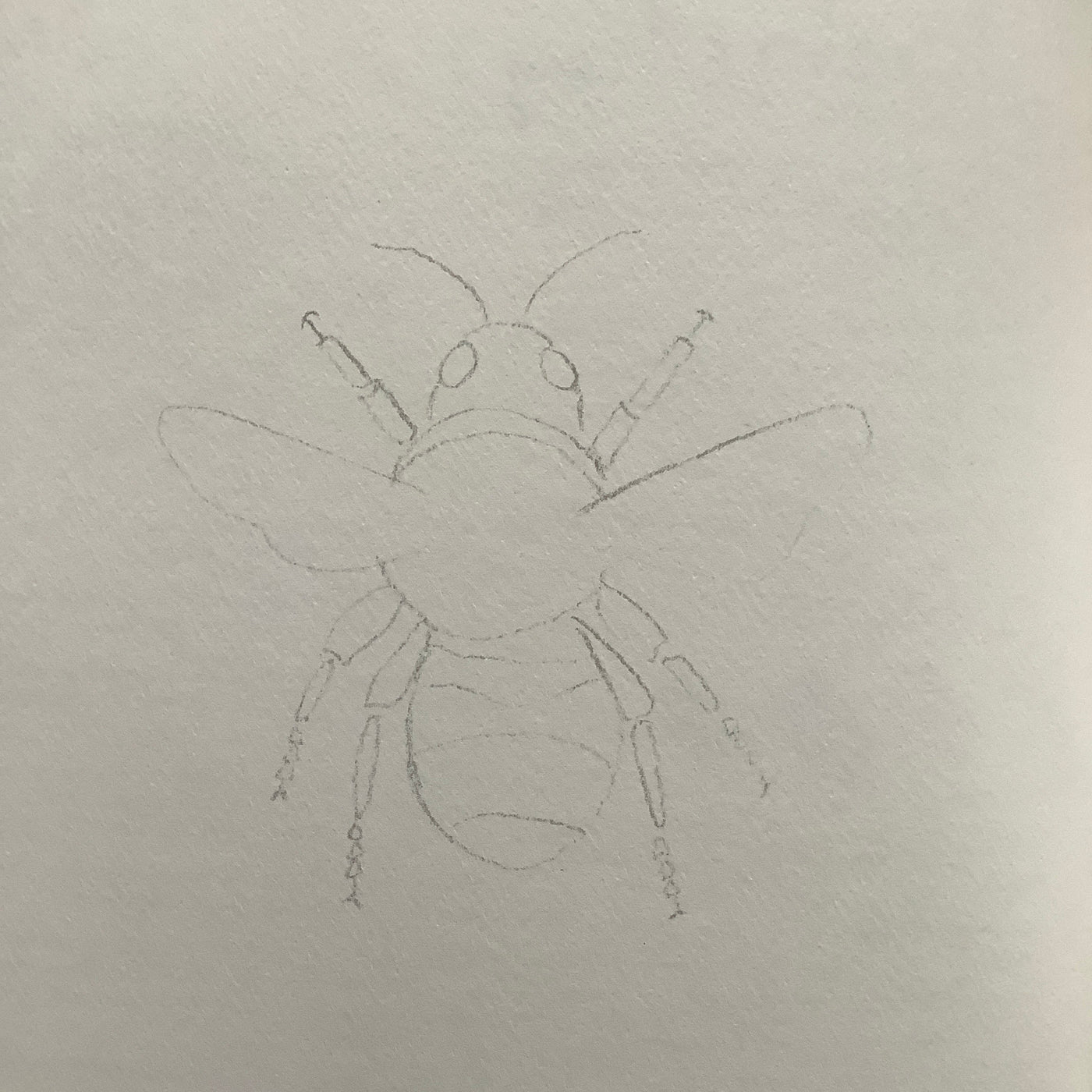 Puriri Lane | Watercolour With Me | In The Forest | Dana Fox