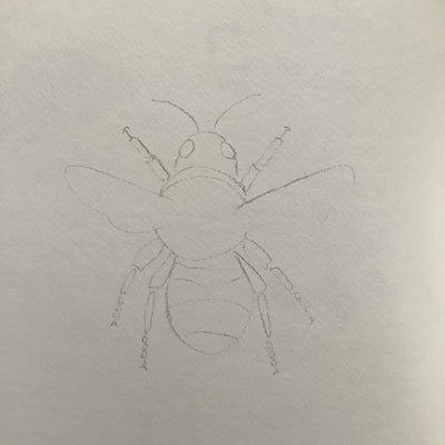 Puriri Lane | Watercolour With Me | In The Forest | Dana Fox