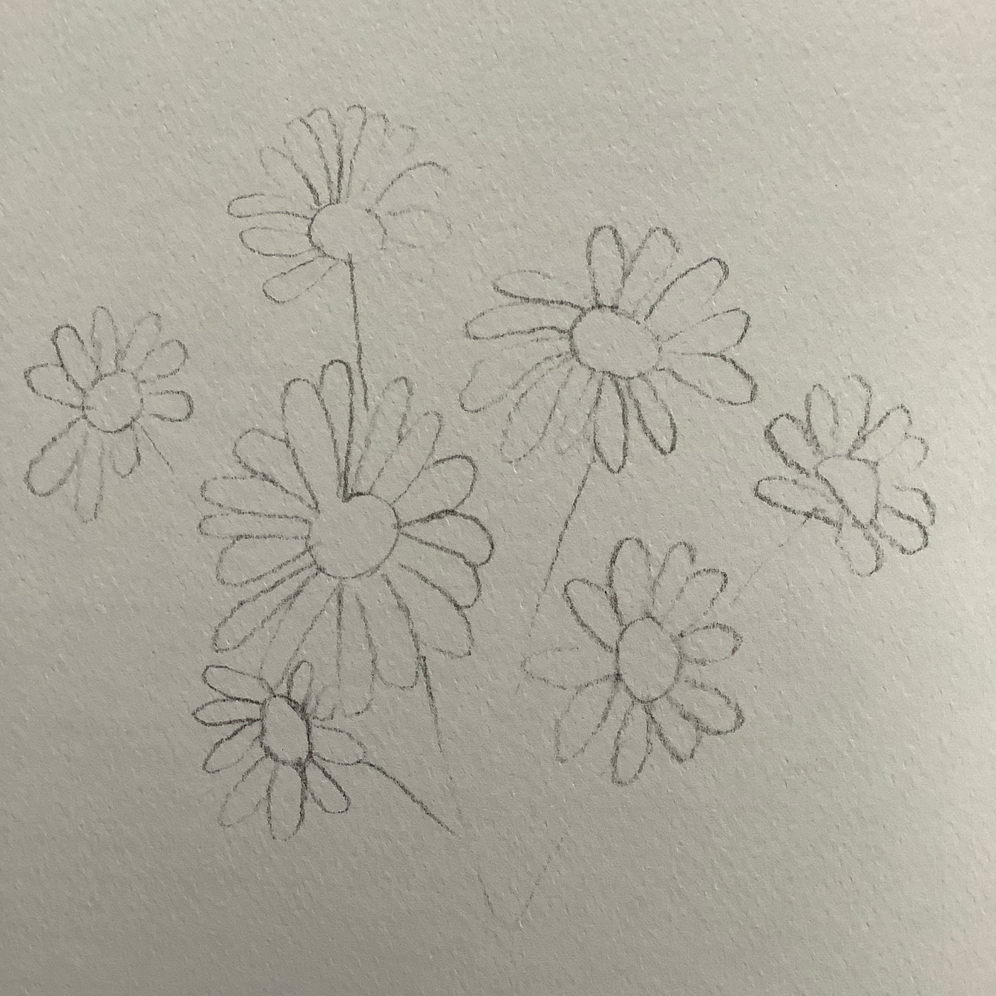 Puriri Lane | Watercolour With Me | In The Forest | Dana Fox