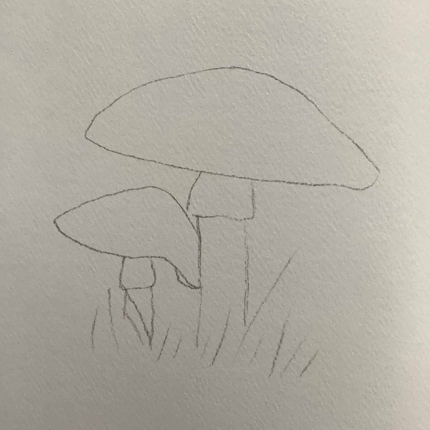 Puriri Lane | Watercolour With Me | In The Forest | Dana Fox