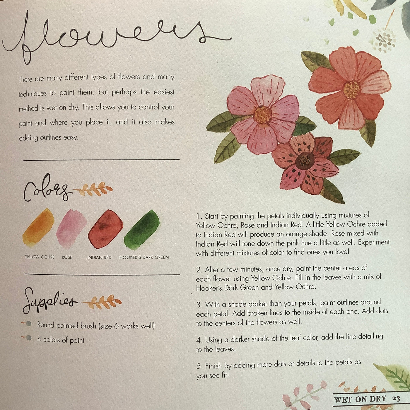 Puriri Lane | Watercolour With Me | In The Forest | Dana Fox