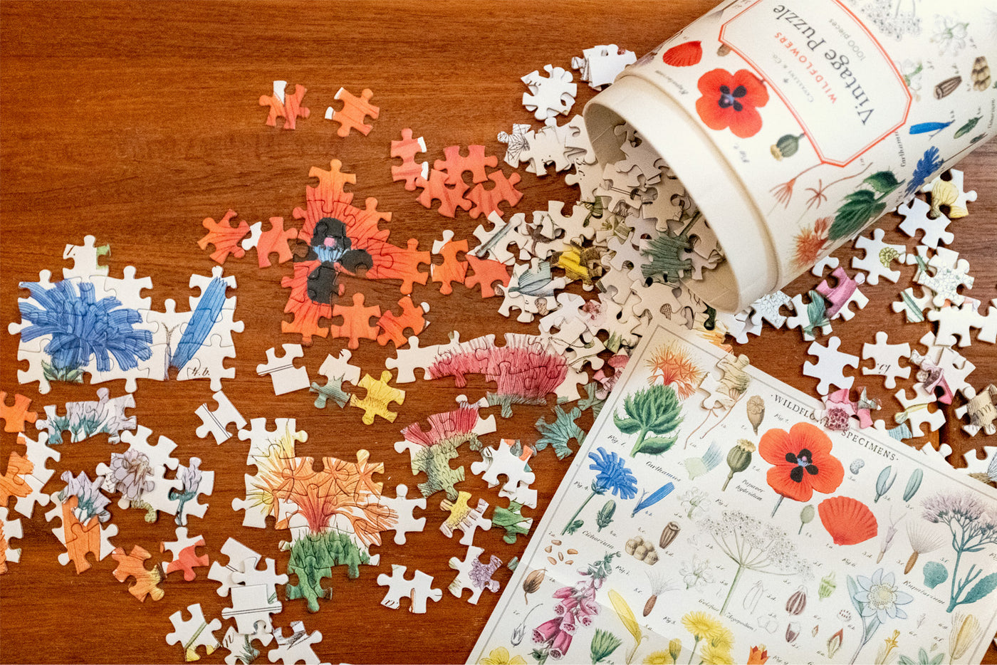 Puriri Lane | Wildflowers | Vintage 1000 piece Jigsaw | Cavallini & Co