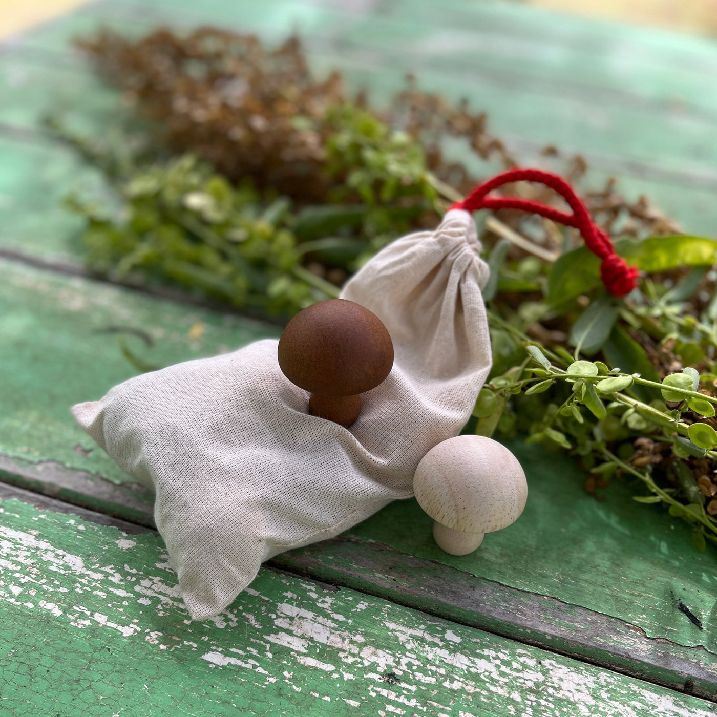 Puriri Lane | Wooden Mushrooms | Set of 10