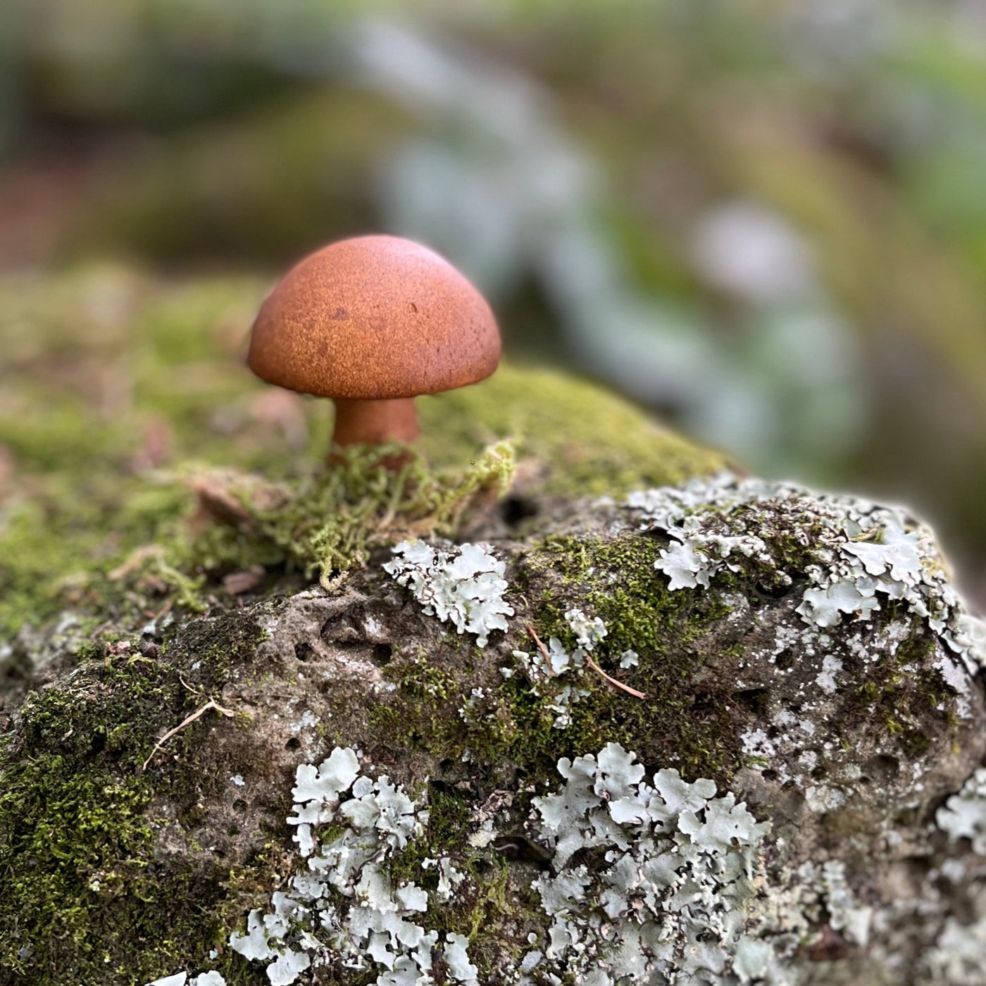 Puriri Lane | Wooden Mushrooms | Set of 10