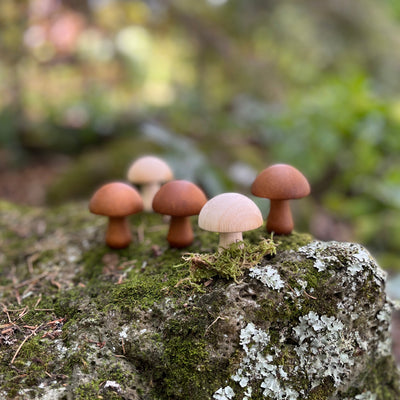 Puriri Lane | Wooden Mushrooms | Set of 10