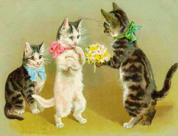 Puriri Lane | Madame Treacle | Little Vintage