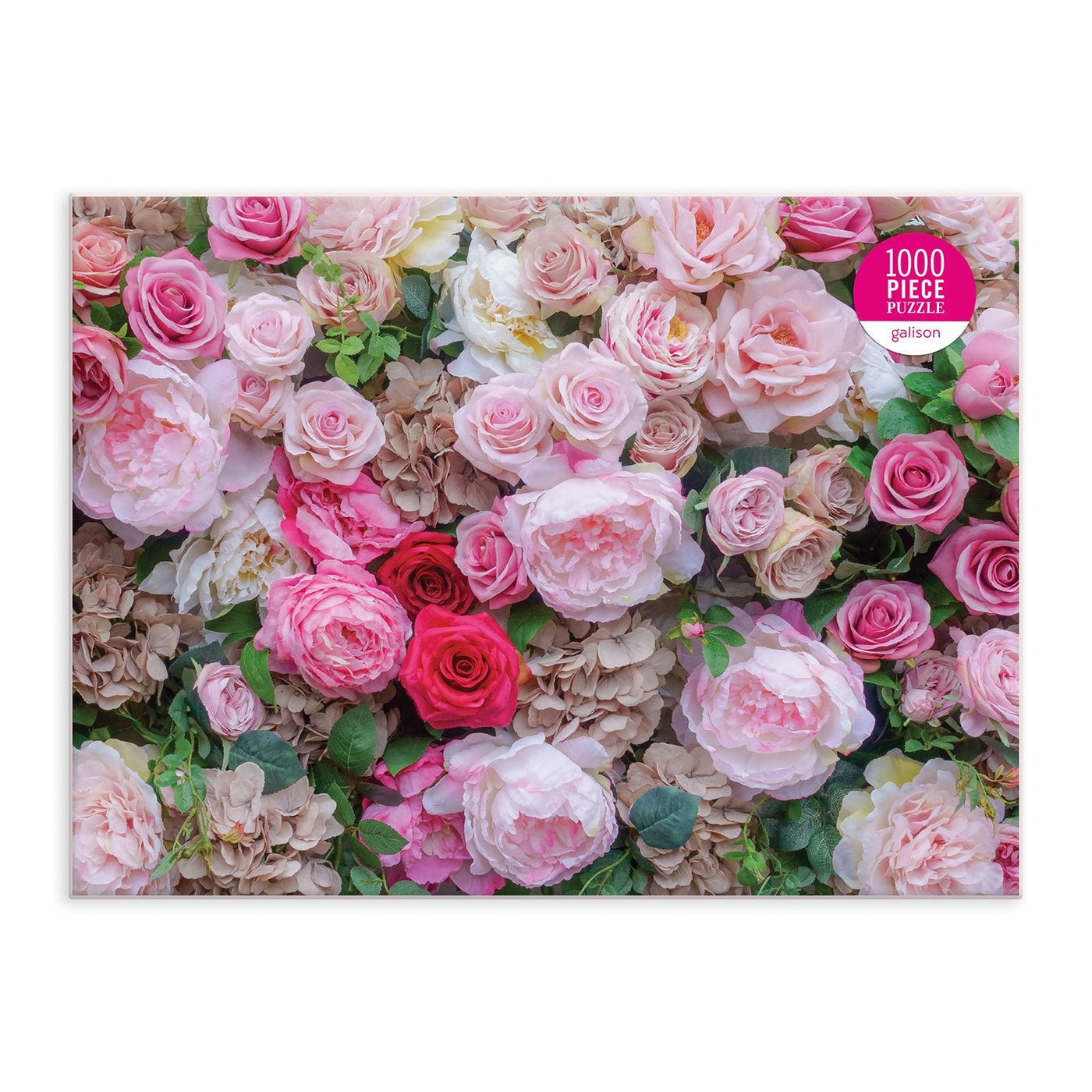 Puriri Lane | English Roses | 1000 Piece Puzzle