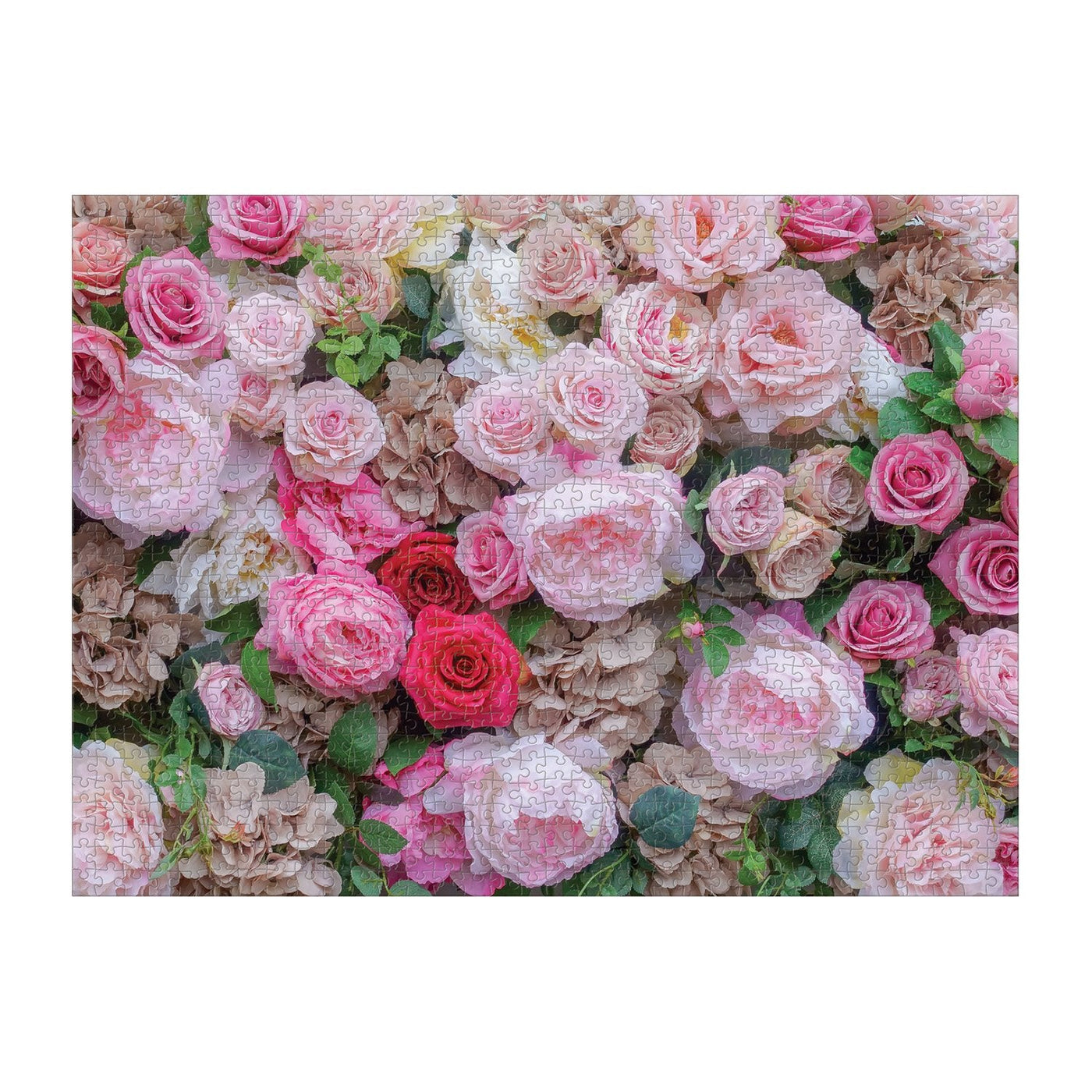 Puriri Lane | English Roses | 1000 Piece Puzzle