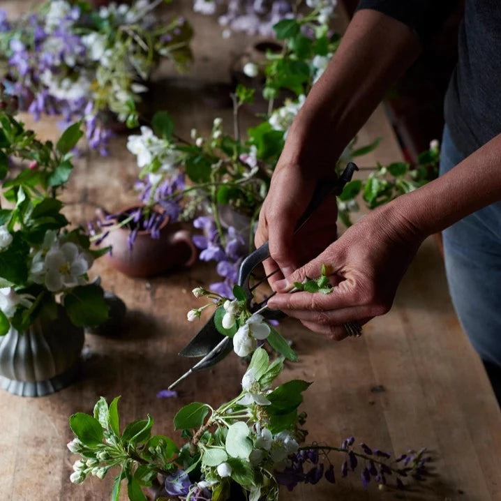 Puriri Lane | Foraged Flora | Louesa Roebuck & Sarah Lonsdale